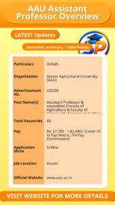 AAU Assistant Professor Overview