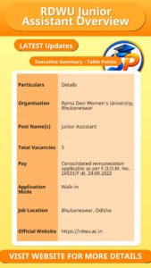 RDWU Junior Assistant Overview