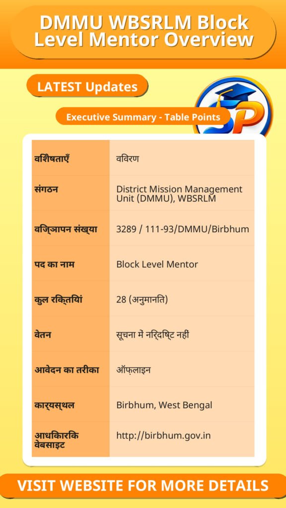 DMMU WBSRLM Block Level Mentor Overview