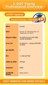 C-DOT Young Professional Overview