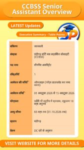 CCBSS Senior Assistant Overview