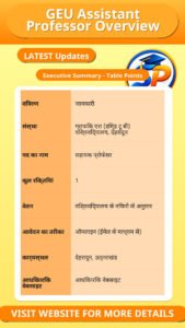 GEU Assistant Professor Overview