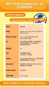 BSF Sub-Inspector at a Glance