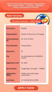Cluster University of Srinagar Programmer Recruitment 2026 – 1 Vacancy, Eligibility, Salary and Selection Process